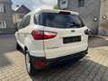 Ford EcoSport Trend*AUTOMATIK*SITZHEIZUNG*PDC*2HAND Weiß - thumbnail 4