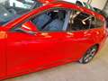 Ford Focus 1.0 Ecoboost MHEV Trend+ 125 Aut. Rojo - thumbnail 9