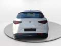 Alfa Romeo Stelvio 2.2 Diésel 140kW (190CV) Sprint+ Q4 Blanco - thumbnail 6