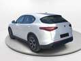 Alfa Romeo Stelvio 2.2 Diésel 140kW (190CV) Sprint+ Q4 Blanco - thumbnail 4