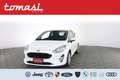 Ford Fiesta Fiesta Van Business 1.5 TDCi 85 CV 3 porte Euro 6. Wit - thumbnail 1