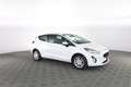 Ford Fiesta Fiesta Van Business 1.5 TDCi 85 CV 3 porte Euro 6. Wit - thumbnail 2