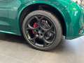 Alfa Romeo Stelvio Tributo Italiano 2.0l Q4 Verde Montreal Vert - thumbnail 5
