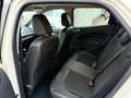 Ford EcoSport 1.0 EcoBoost 125 CV Titanium Blu/Azzurro - thumbnail 11