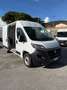 Fiat Ducato 2.3mjt 140cv L2H2 FURGONE Blanc - thumbnail 1