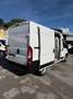 Fiat Ducato 2.3mjt 140cv L2H2 FURGONE Blanc - thumbnail 3