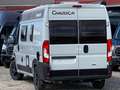 Chausson Road Line V 594 S VIP, 140PS, Vollausstattung Gris - thumbnail 7