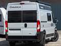 Chausson Road Line V 594 S VIP, 140PS, Vollausstattung Gris - thumbnail 5