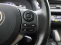 Lexus CT 200h Business Line | Navigatie | Camera | Climate Contr Grijs - thumbnail 24