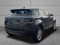 Land Rover Range Rover Evoque 2.0TD4 SE 4WD 150 Grigio - thumbnail 3