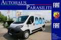 Fiat Ducato-e L2H2 (47-kWh) Navi CarPlay/Android Auto Gris - thumbnail 1