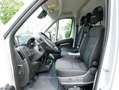 Fiat Ducato-e L2H2 (47-kWh) Navi CarPlay/Android Auto Gris - thumbnail 15