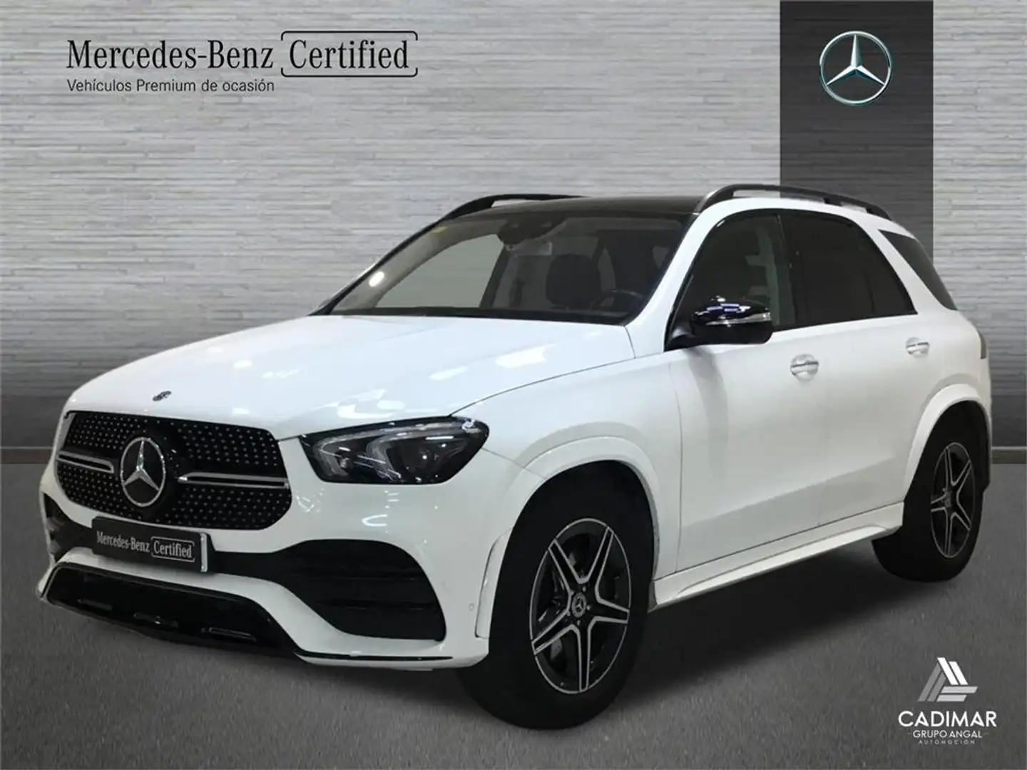 Mercedes-Benz GLE 300 300d 4Matic Aut. - 1