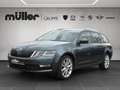 Skoda Octavia Combi 1.4 TSI DSG Drive Grau - thumbnail 1