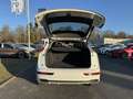 Audi Q5 45 2.0 TFSI quattro AT sport S-line Weiß - thumbnail 5