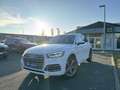 Audi Q5 45 2.0 TFSI quattro AT sport S-line Weiß - thumbnail 1