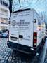 Iveco Daily 35 C 15 V Wit - thumbnail 16