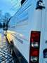 Iveco Daily 35 C 15 V Blanc - thumbnail 8