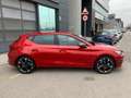 CUPRA 1.5 eTSI 110kW (150CV) DSG Rouge - thumbnail 3