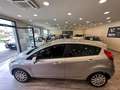 Ford Fiesta Fiesta 1.5 TDCi 75CV 5 porte Titanium Argento - thumbnail 8