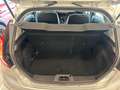 Ford Fiesta Fiesta 1.5 TDCi 75CV 5 porte Titanium Argento - thumbnail 6