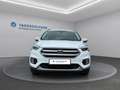 Ford Kuga Kuga 1,5 EcoBoost Titanium Weiß - thumbnail 2