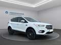 Ford Kuga Kuga 1,5 EcoBoost Titanium Weiß - thumbnail 3
