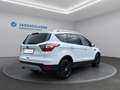 Ford Kuga Kuga 1,5 EcoBoost Titanium Weiß - thumbnail 5