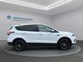 Ford Kuga Kuga 1,5 EcoBoost Titanium Weiß - thumbnail 4