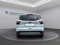 Ford Kuga Kuga 1,5 EcoBoost Titanium Weiß - thumbnail 6