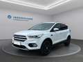 Ford Kuga Kuga 1,5 EcoBoost Titanium Weiß - thumbnail 1