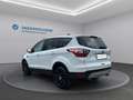 Ford Kuga Kuga 1,5 EcoBoost Titanium Weiß - thumbnail 7