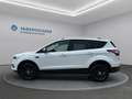 Ford Kuga Kuga 1,5 EcoBoost Titanium Weiß - thumbnail 8