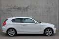 BMW 116 116i/3-deur/getinte ramen/Pdc... Wit - thumbnail 5