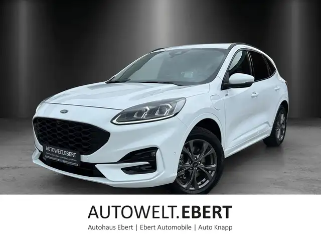 Ford Kuga main image