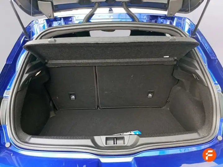 Renault Mégane R.S.Line TCe GPF 2021, foto 10