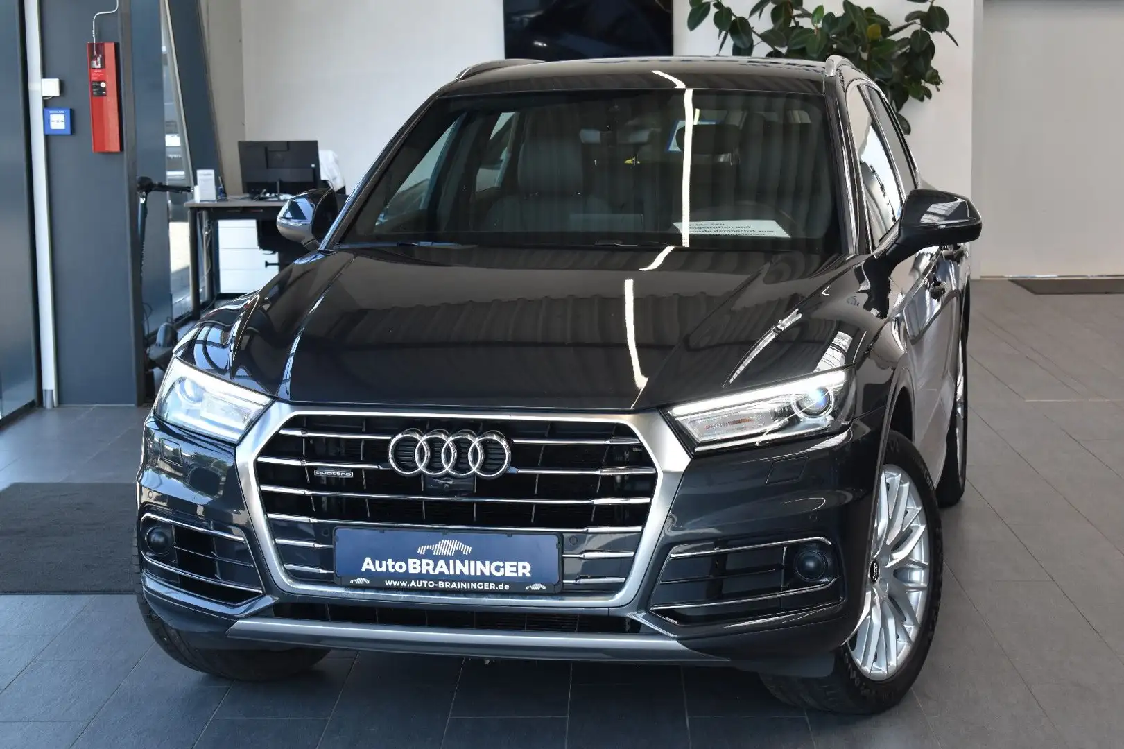 Audi Q5 40TDI Quattro S-tronic Xenon~Nav~Virtual~360° Grau - 1
