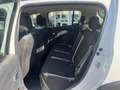 Dacia Sandero Sandero Stepway 1.5 Blue dCi 95 CV Access Bianco - thumbnail 9