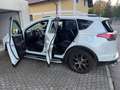 Toyota RAV 4 2.5 4x2 Hybrid Edition S+ Weiß - thumbnail 4