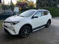 Toyota RAV 4 2.5 4x2 Hybrid Edition S+ Weiß - thumbnail 1