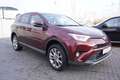 Toyota RAV 4 RAV4 2.5 Hybrid Executive 360° AHK Sitzheizung Rot - thumbnail 7