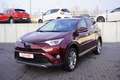 Toyota RAV 4 RAV4 2.5 Hybrid Executive 360° AHK Sitzheizung Rot - thumbnail 2