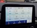 Ford Puma 1.0 ecoboost Hubrid Titanium s&s 125cv Or - thumbnail 11