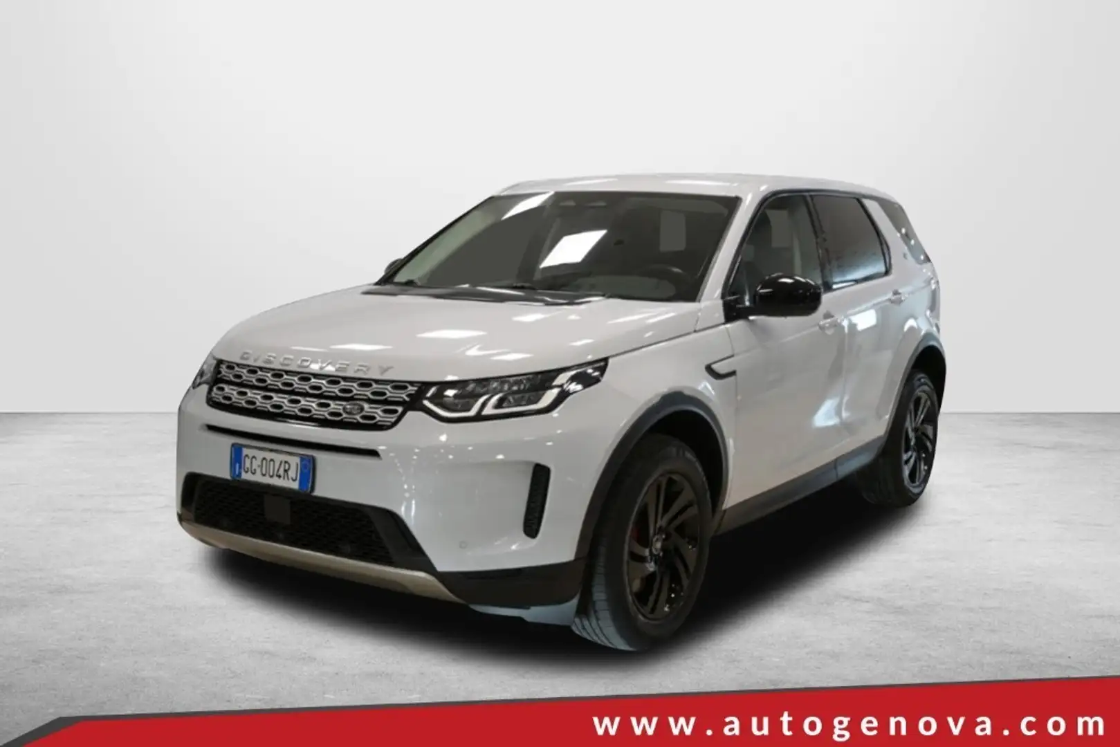 Land Rover Discovery Sport Discovery Sport 2.0 TD4 163 CV AWD Auto Gris - 1