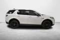 Land Rover Discovery Sport Discovery Sport 2.0 TD4 163 CV AWD Auto Gris - thumbnail 7