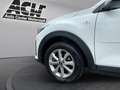 Kia Stonic STONIC 1.2 ED7 CARPLAY SITZHEIZUNG EINPARKHILFE Weiß - thumbnail 14
