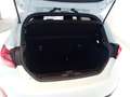 Ford Fiesta Active 1.0 EcoBoost Hybrid 125 CV Blanc - thumbnail 16