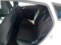 Ford Fiesta Active 1.0 EcoBoost Hybrid 125 CV Blanc - thumbnail 19