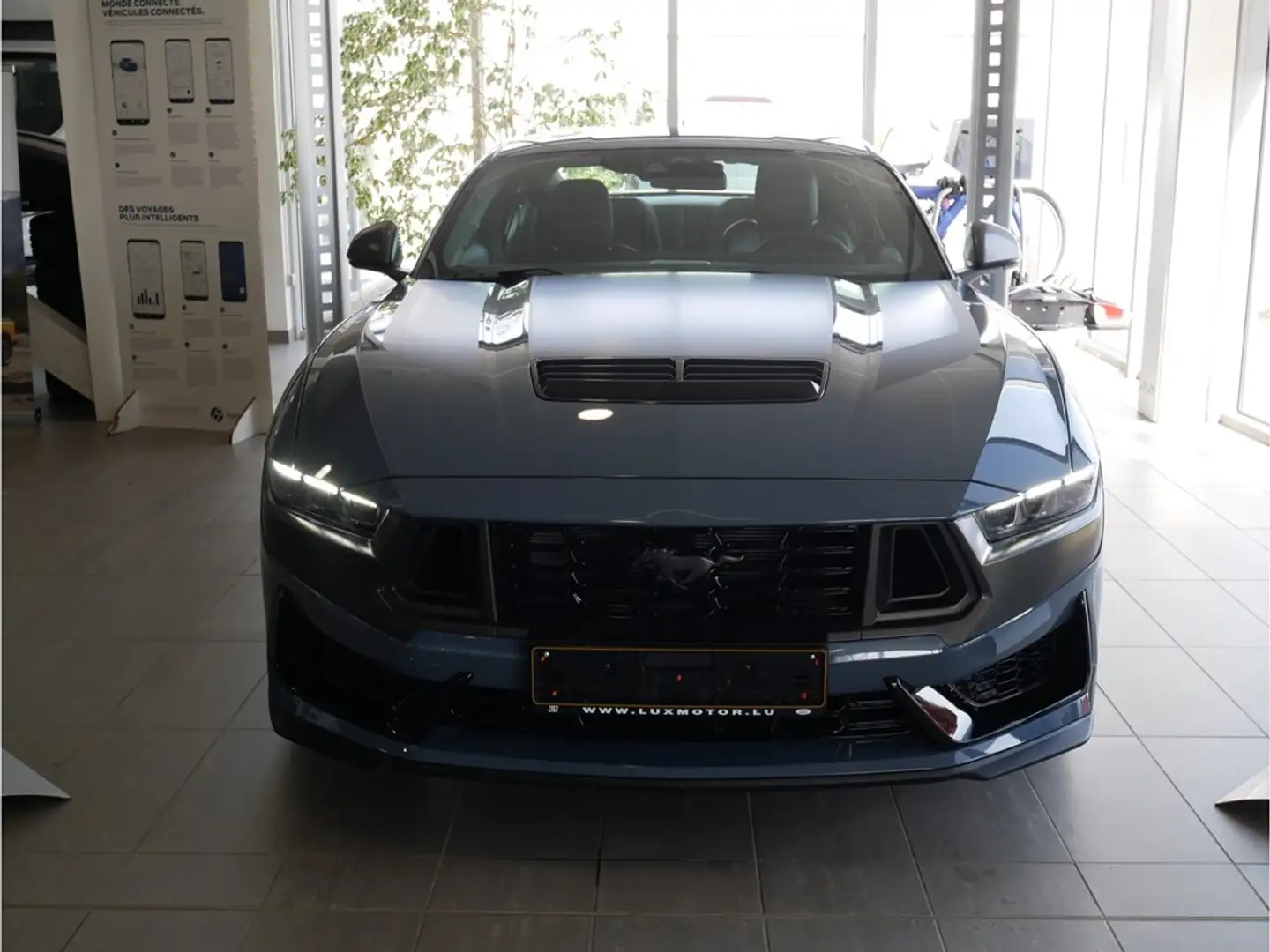 Ford Mustang Dark Horse 5.0i V8 453ch / 334kW M6 - Fastback Bleu - 1
