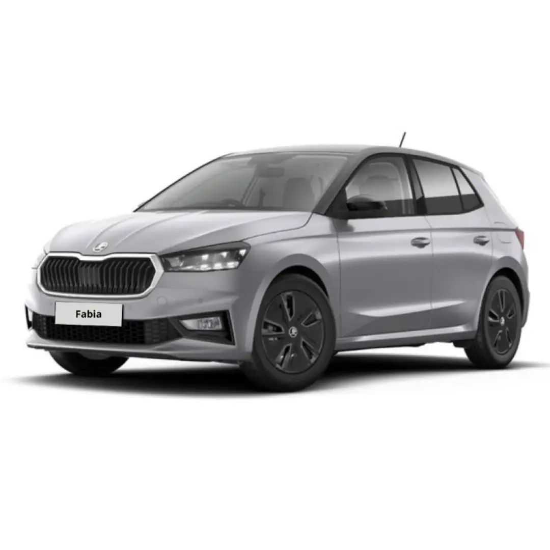 Skoda Fabia 1.0 TSI EVO 95 CV Selection Grigio - 1